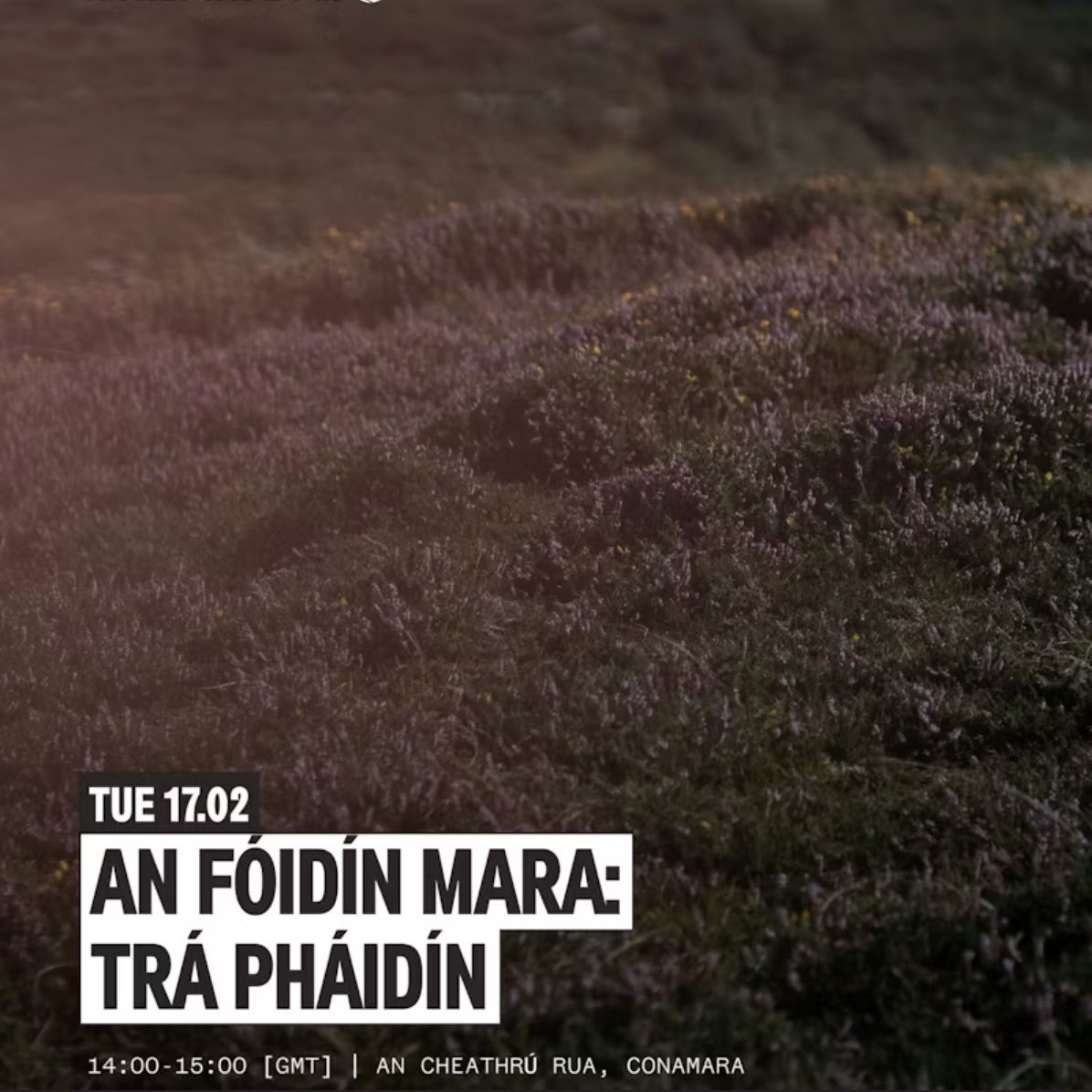 Trá Pháidín